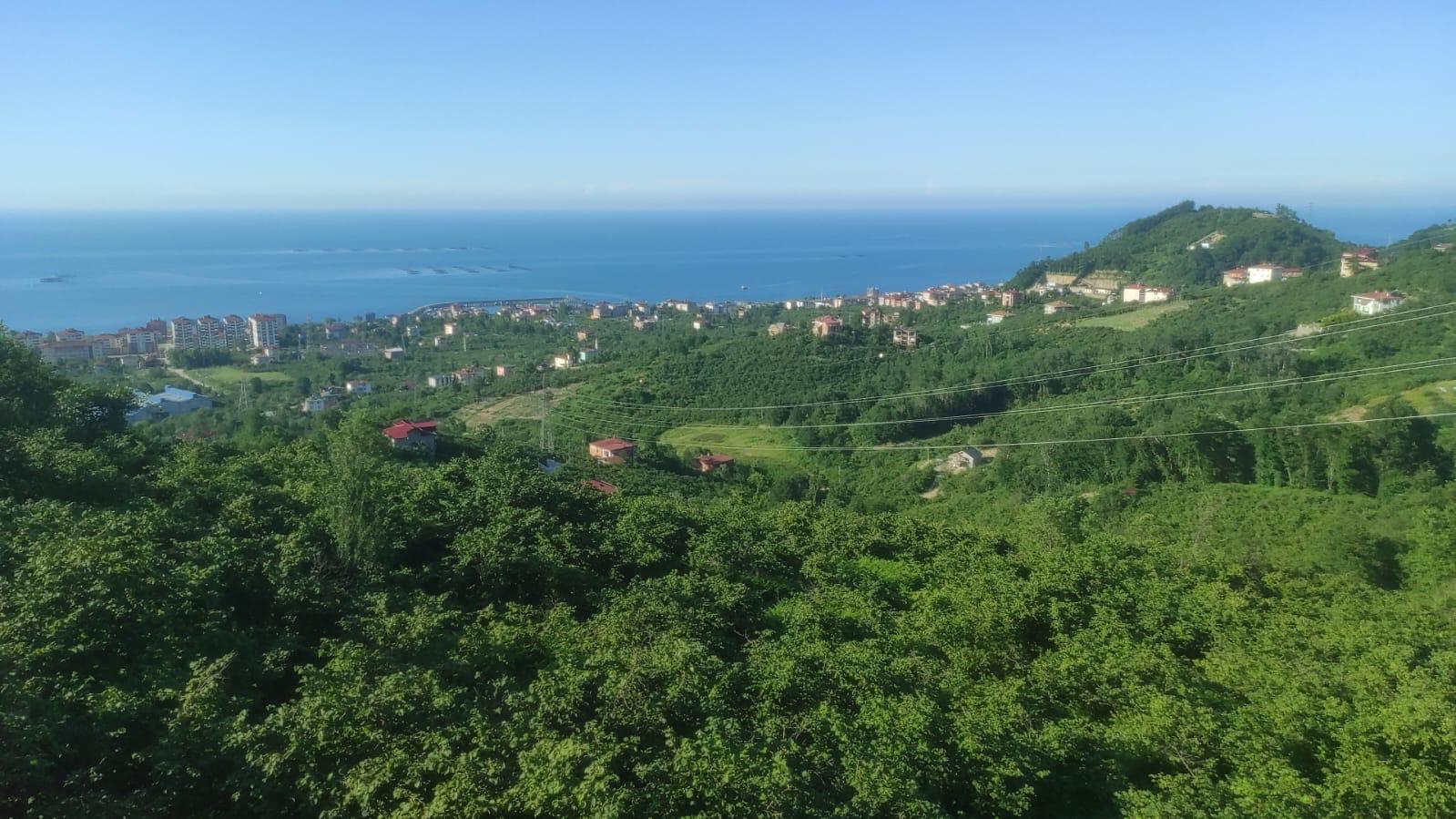 MABEL'DEN ARSİNDE YATIRIMLIK 2.8 DÖNÜM DENİZ MANZARALI ARSA